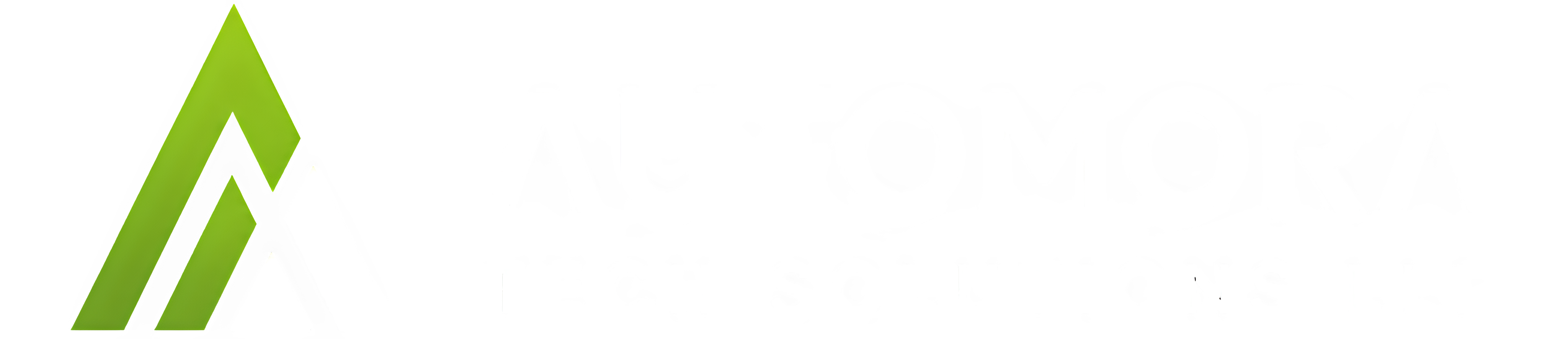 Automora Tech Solutions - AI Automation and Web Development Agency Mumbai